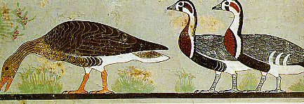 Art 6