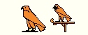 Horus Cartouche