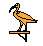 Thot Cartouche2