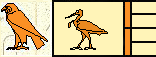 Horus Oiseau 1