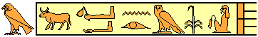 Ramses Vii 3