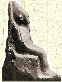 Ninetjer01