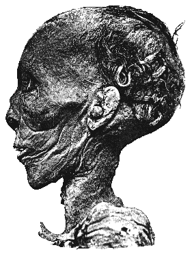 Thoutmosisii05